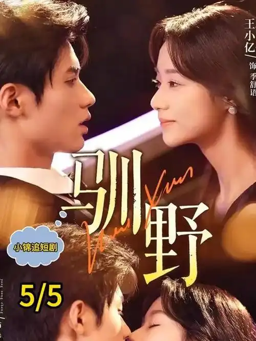 春潮渐起都市情感剧全集免费观看